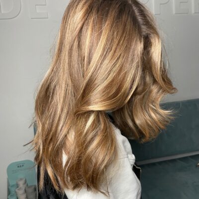 Highlights